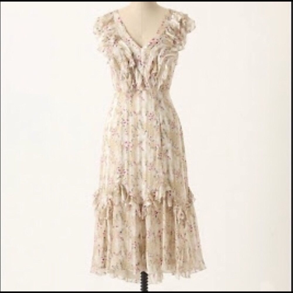 Anthropologie Anna Sui Myotosis Dress 6
